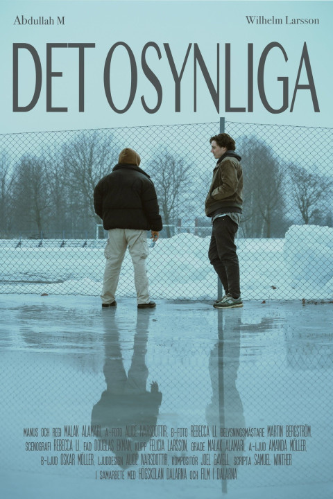 Det osynliga (2025)