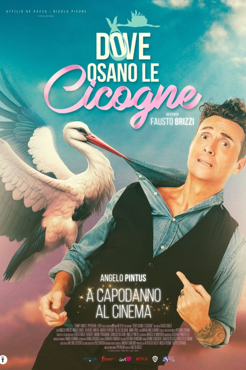 Dove osano le cicogne (2025)