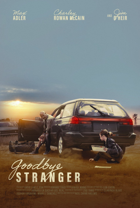 Goodbye Stranger (2025)