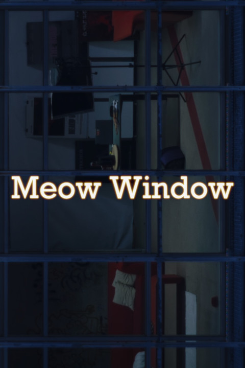Meow Window (2025)
