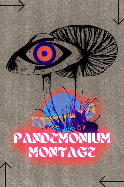 PANDEMONIUM MONTAGE (2025)
