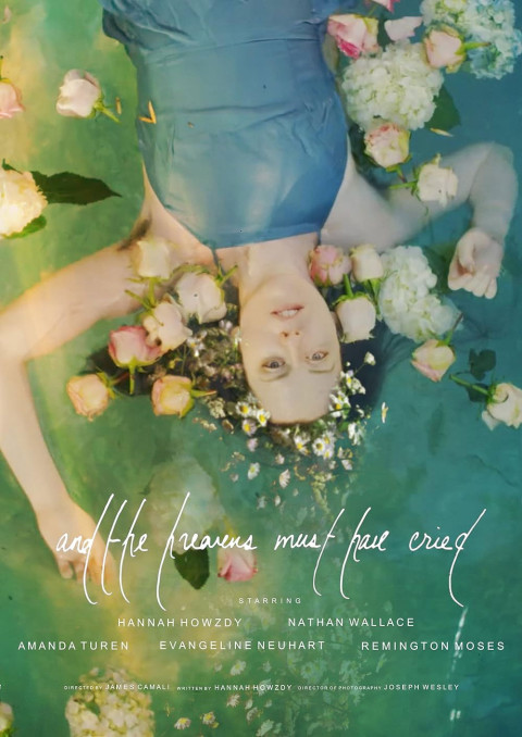 and the heavens must have cried (2025)