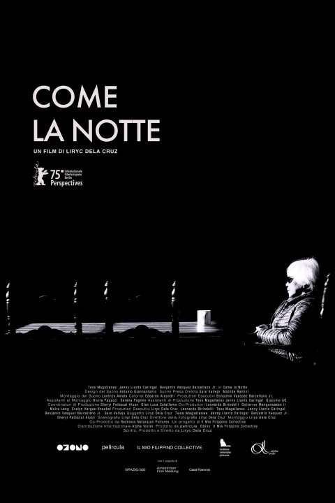 Come la notte (2025)