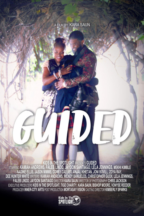 Guided (2025)
