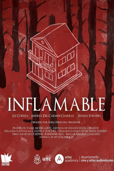 Inflamable (2025)