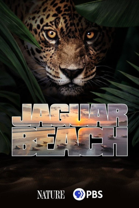 Jaguar Beach‎ (2025)