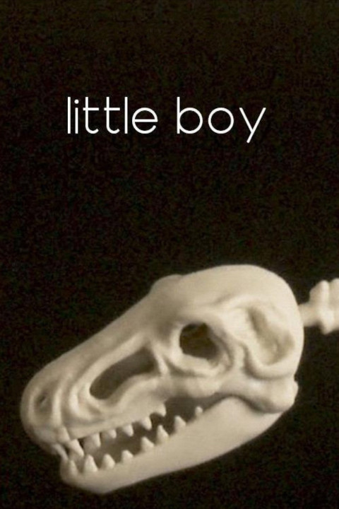Little Boy (2025)