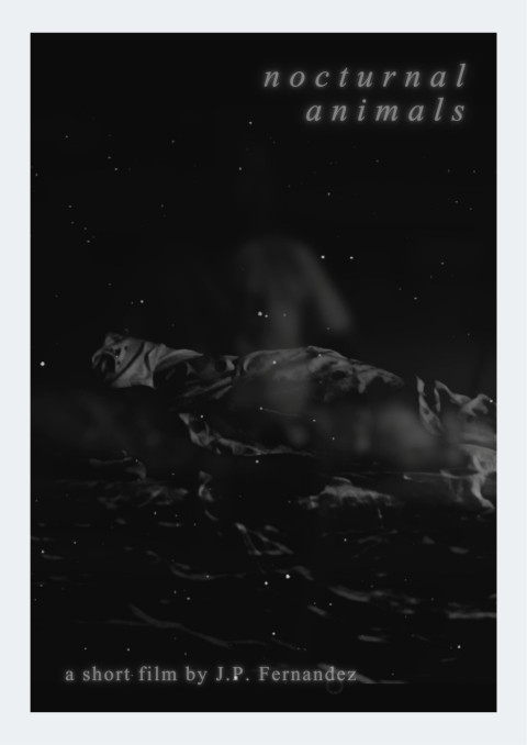 Nocturnal Animals (2025)