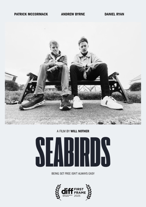 Seabirds (2025)