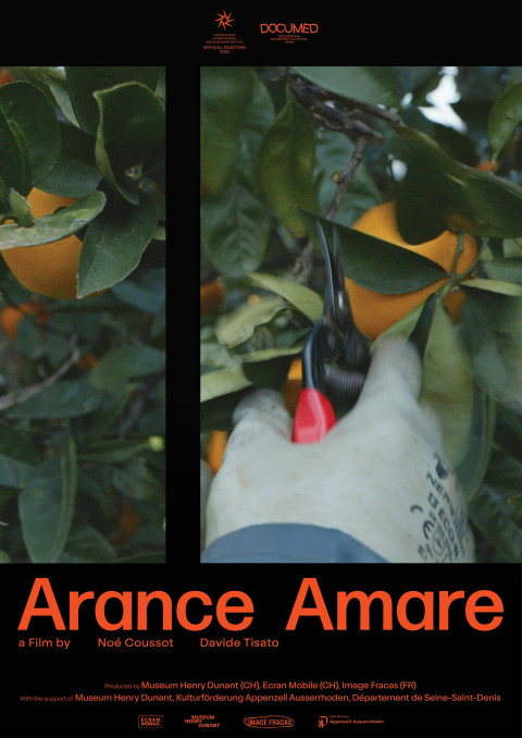 Arance Amare (2025)