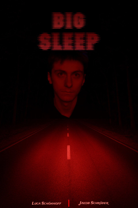 BIG SLEEP (2025)