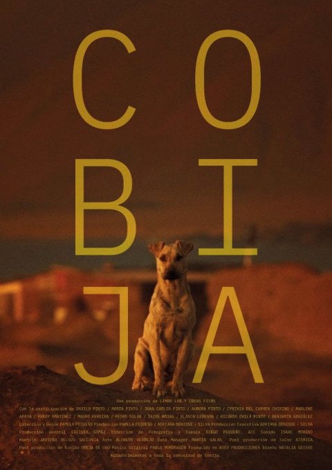 Cobija (2025)