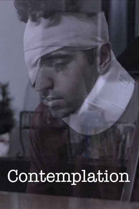 Contemplation (2025)