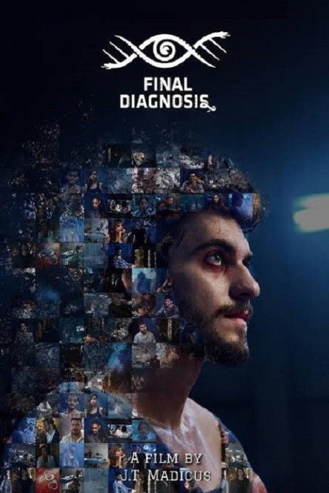 Final Diagnosis (2025)