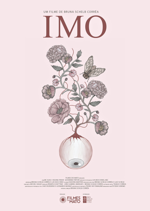 IMO (2025)