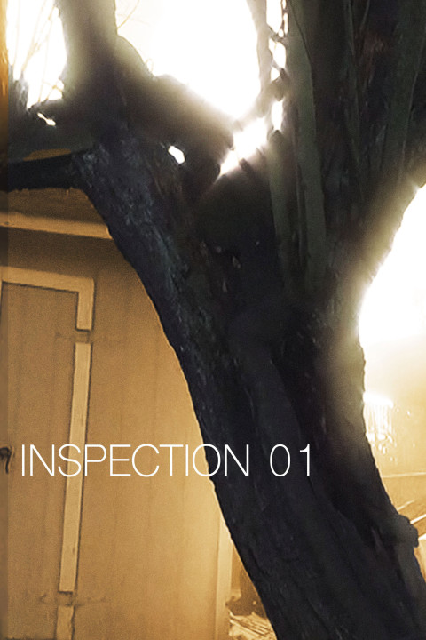 Inspection 01 (2025)