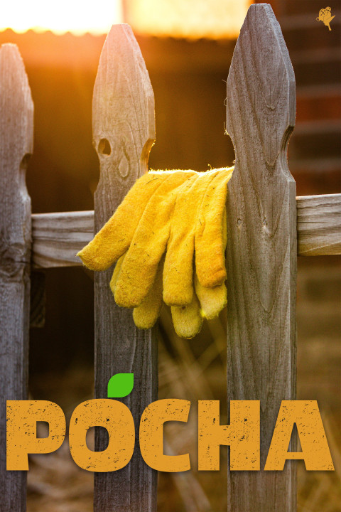 Pocha (2025)