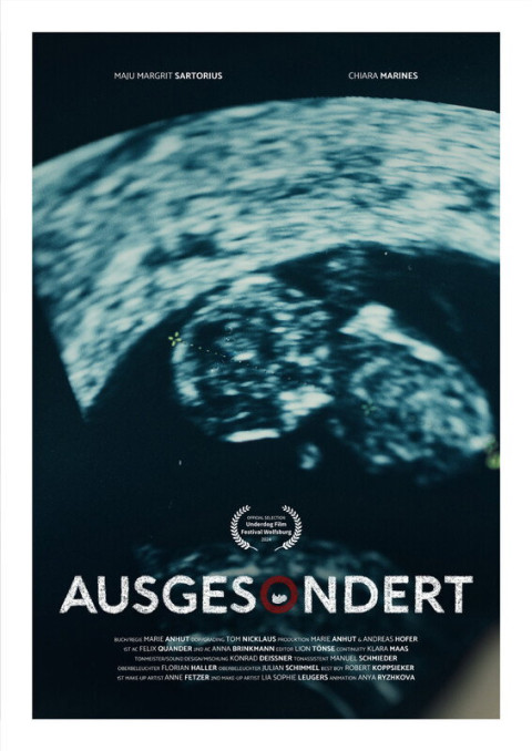 Screened Out (2025)