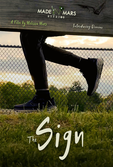 The Sign (2025)