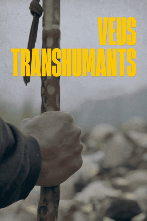 Veus transhumants (2025)