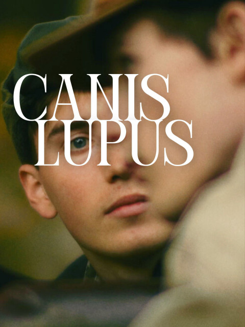 Canis Lupus (2025)