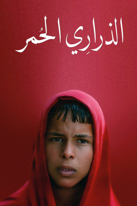 Czerwony szlak (2025)