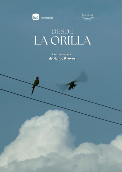 Desde la Orilla (2025)