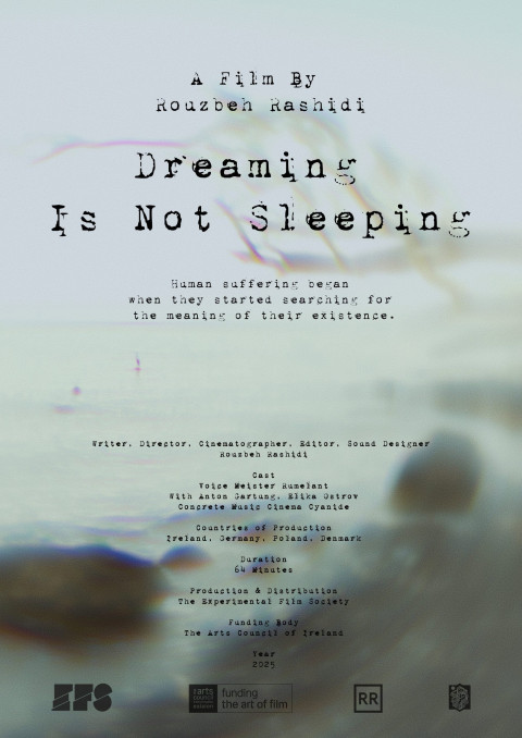 Dreaming Is Not Sleeping (2025)
