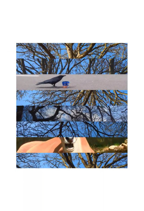 Four Poems (2025)