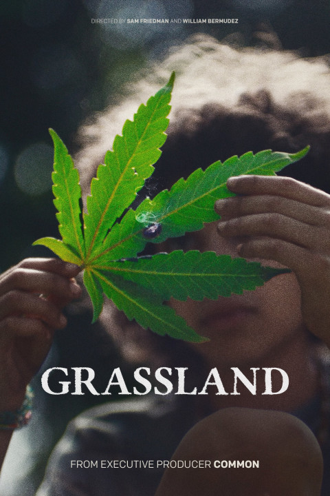 Grassland (2025)