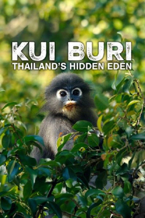 Kui Buri: Thailand's Hidden Eden (2025)