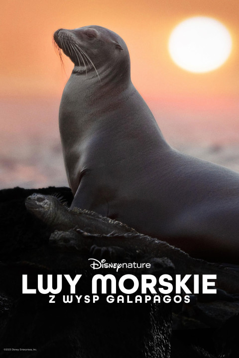 Lwy morskie z wysp Galapagos (2025)