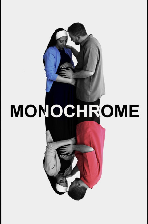 Monochrome (2025)