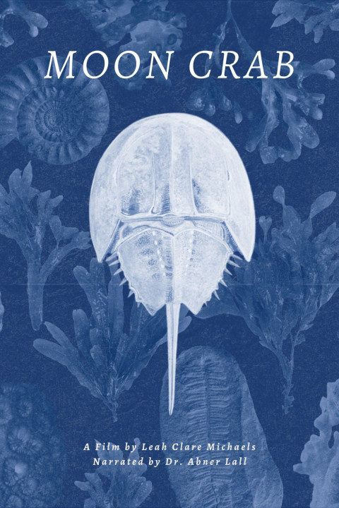 Moon Crab (2025)