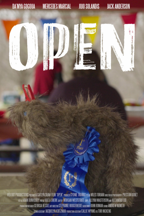 Open (2025)
