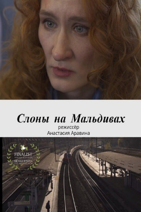 Слоны на Мальдивах (2025)