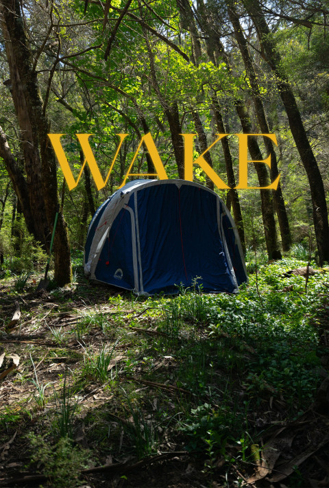 Wake (2025)