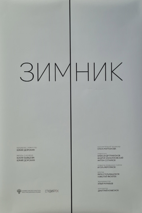 Зимник (2025)