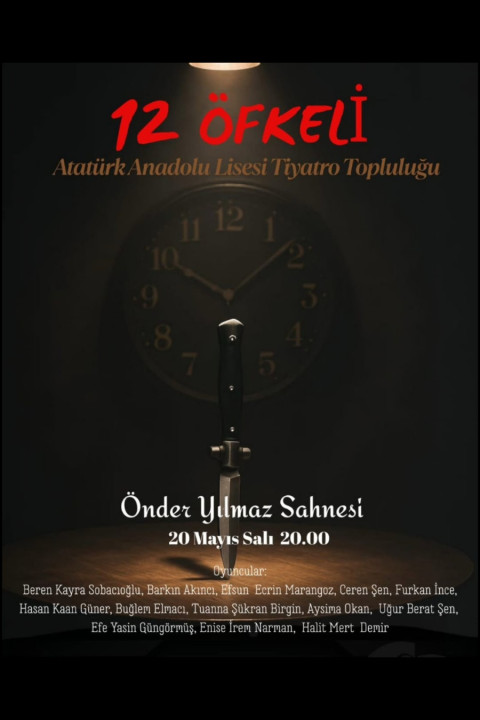 12 Kızgın (2025)