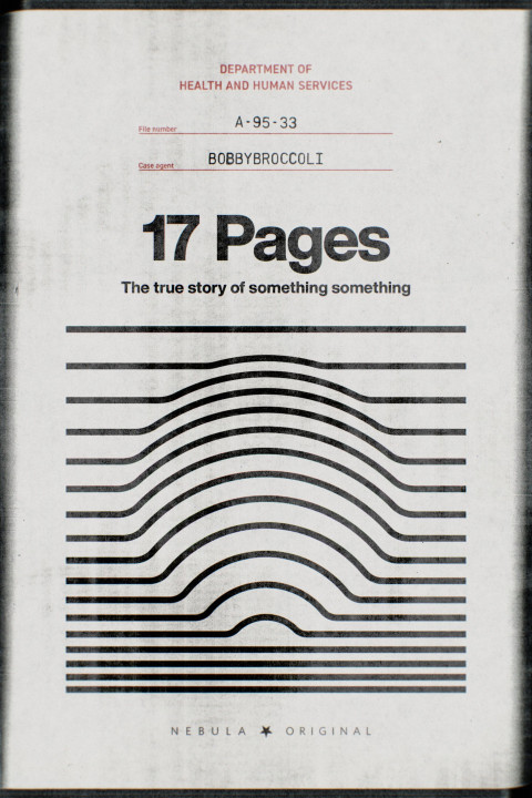 17 Pages (2025)
