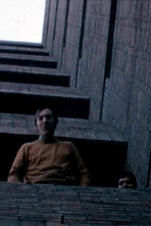 Alucinación arquitectónica (2025)