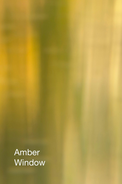 Amber Window (2025)