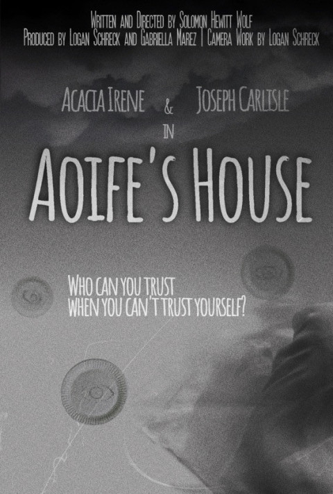 Aoife's House (2025)