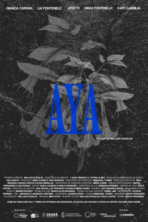 AYA (2025)