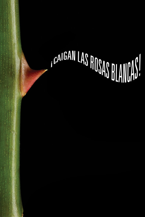 ¡Caigan las rosas blancas! (2025)