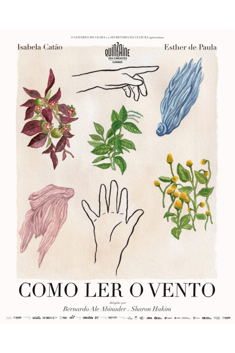 Como Ler o Vento (2025)
