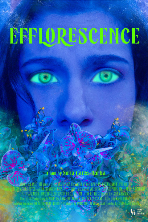 Efflorescence (2025)