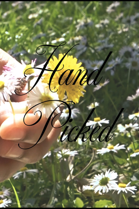 Hand Picked (2025)