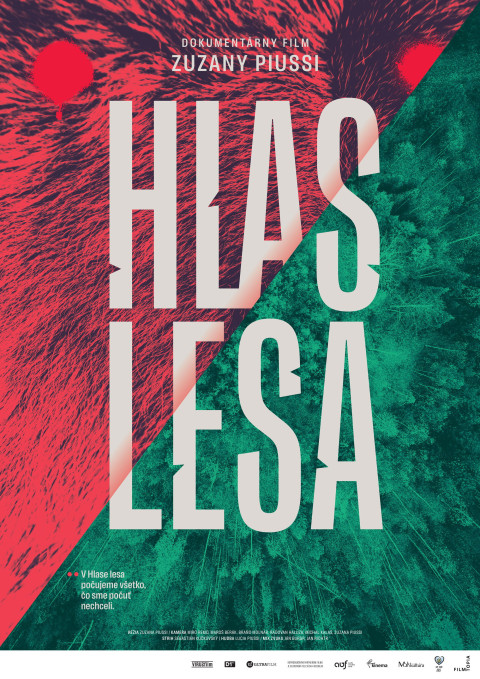 Hlas lesa (2025)
