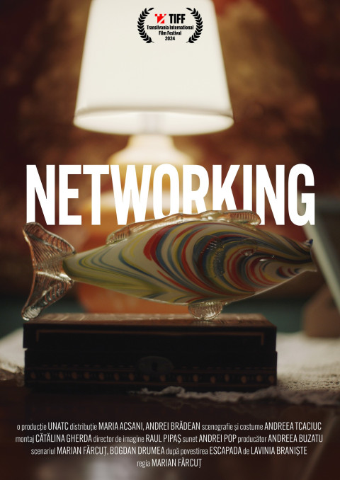 Networking (2025)